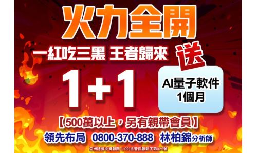 林柏錦分析師【1+1】專案